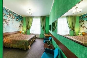 Двухместный номер с 1 кроватью и видом на парк в Гостинице Премьера