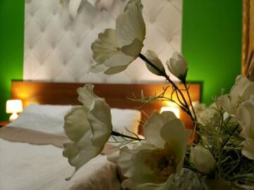 Двухместный номер с 1 кроватью и видом на парк в Гостинице Премьера