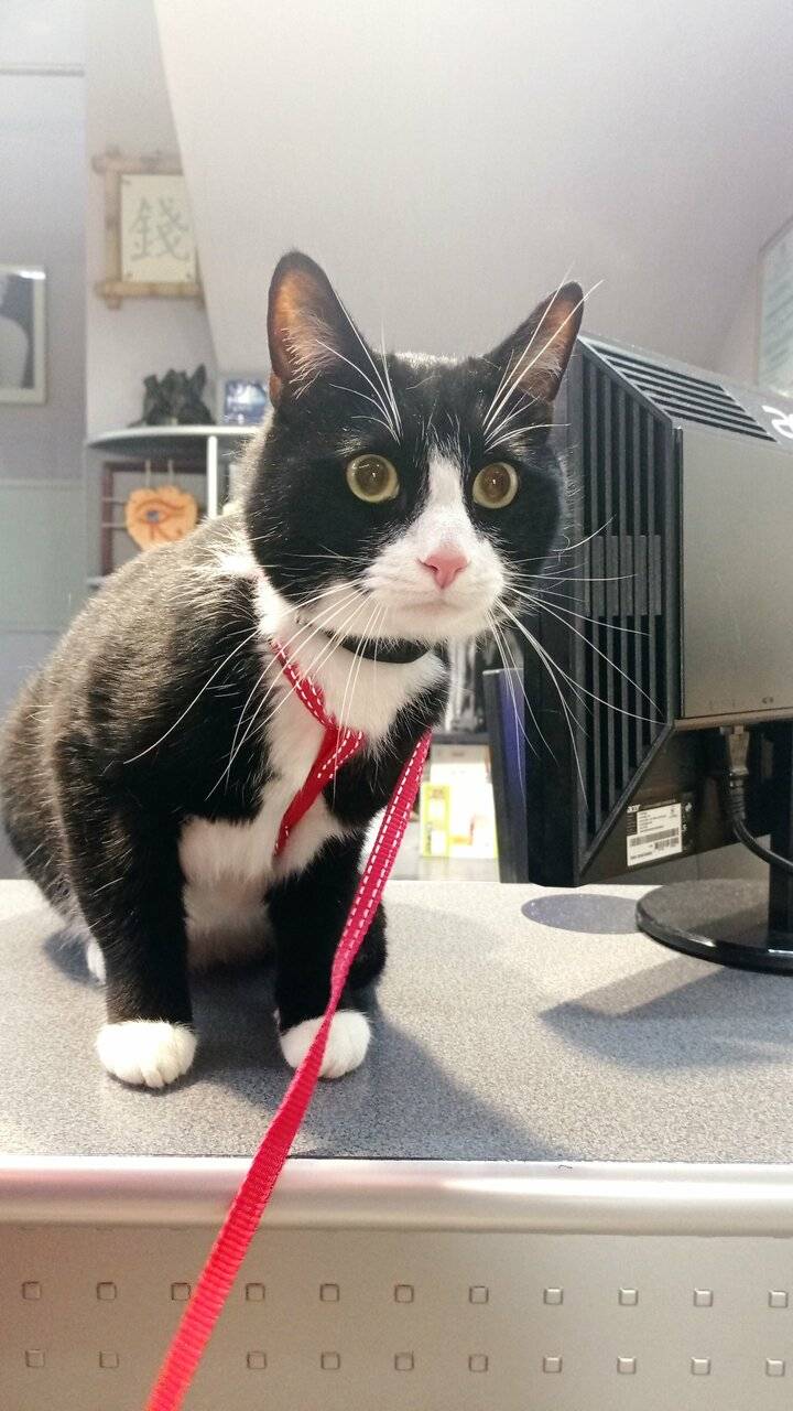 Фото Гостиницы Премьера Санкт-Петербург 53