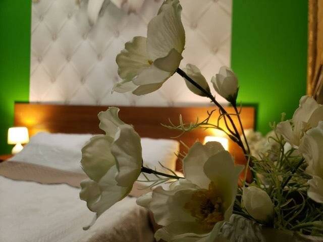 Фото Гостиницы Премьера Санкт-Петербург 104